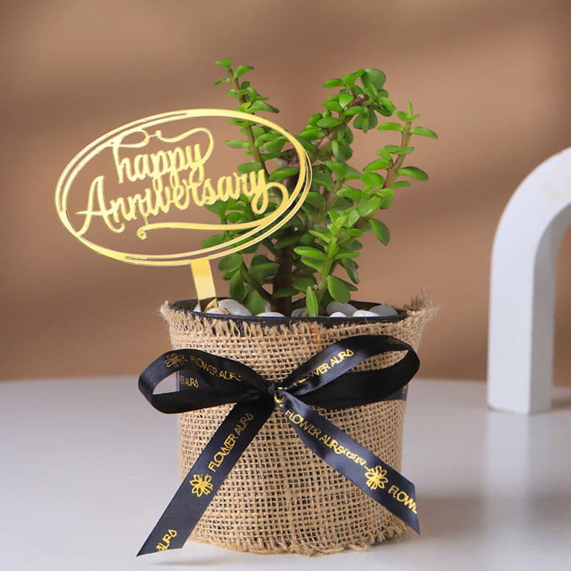 Jade Plant In Jute Pot For Anniversary