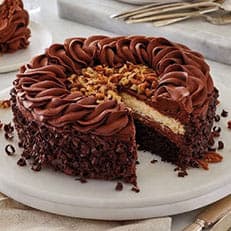 chocolate cakes chocolate cakes